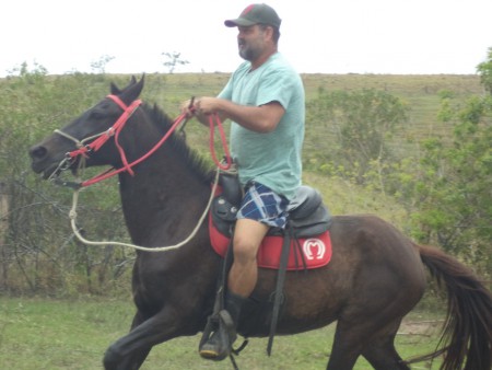 FRAMBOESA FORTEGA  (HERDADE)